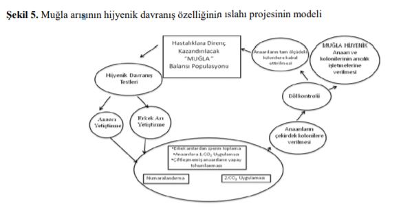 Ekran Alıntısı10