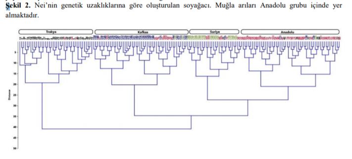 Ekran Alıntısı5