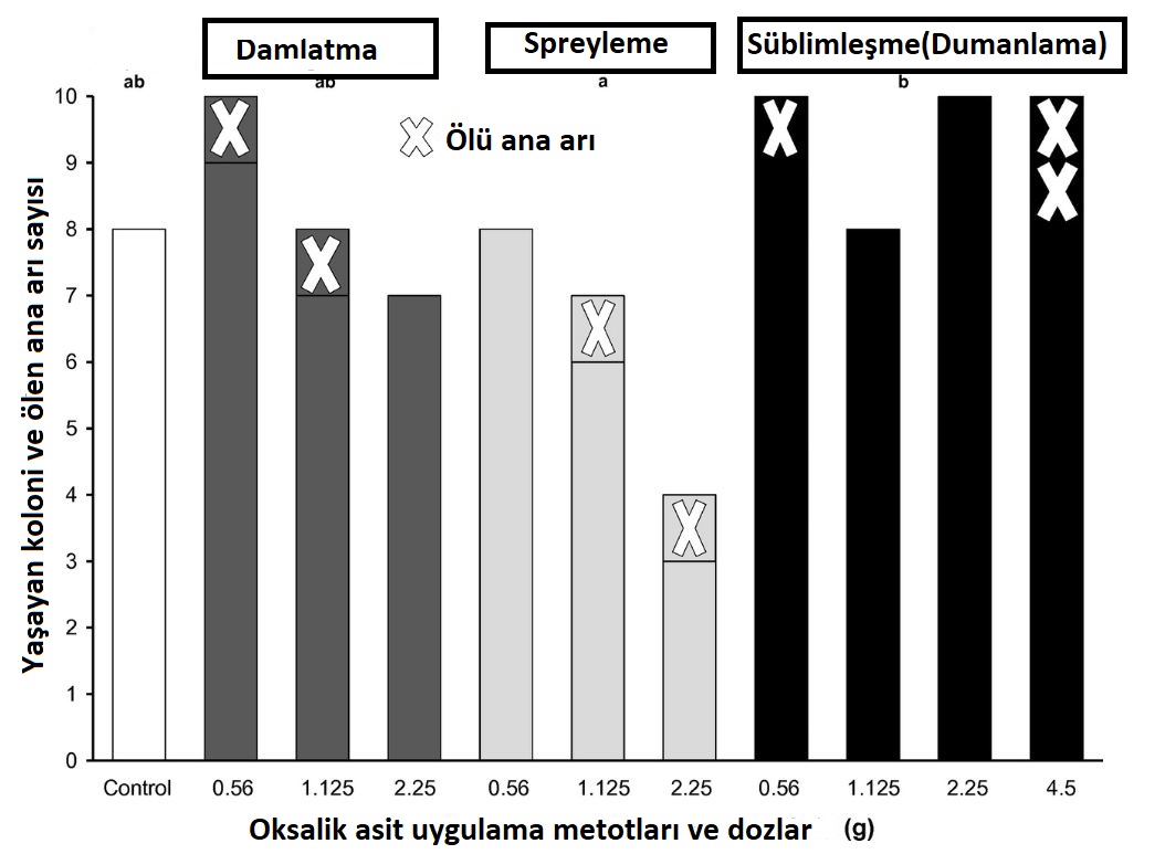 Oksalik asit Ölü koloniler ve ana arılar